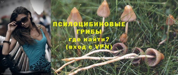 тгк Болотное