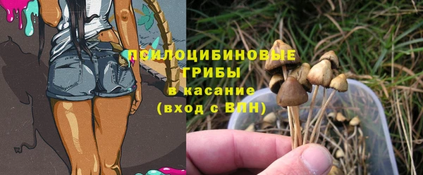 мдма Няндома